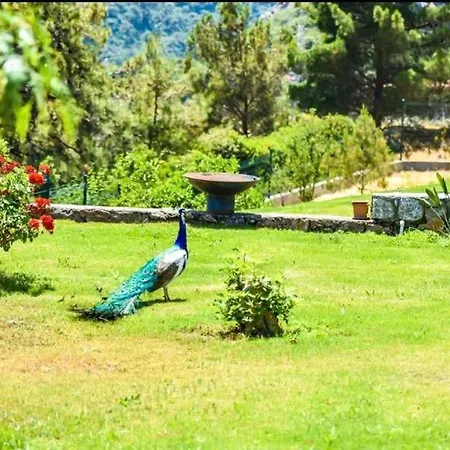 Villa Excellent Home With Shared Pool Surrounded By Nature In Marmaris *
