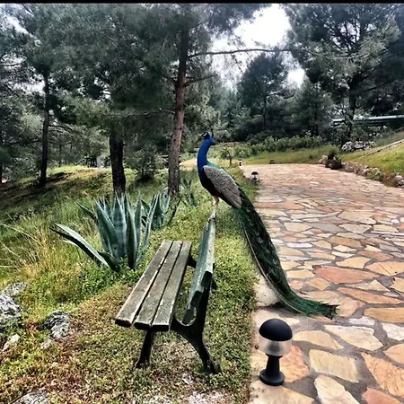 Excellent Home With Shared Pool Surrounded By Nature In Marmaris